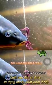 Lưỡi móc lật tự động đâm cá hiệu quảtỷ lệ trúng miệng cao ngừa rơi cá