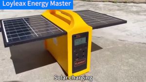200W Camping Energy Storage 50Hz/60Hz Outdoor Mobile Power Supply Portable Solar Power Station