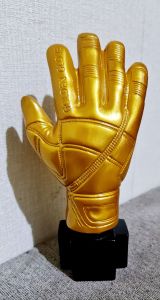 piala/teropy sarung tangan kiper