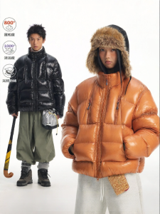JNXS | Glossy 95% White Duck Down 800 Fill Power Insulated Without Lining Loose Feather Resistance Hooded Puffer Jacket Winter