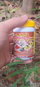 SIÊU KÍCH RỄ HŨ 100 ml. PHÂN BÓN LÁ DINH DƯỠNG TRÙN QUẾ. Thích hợp với các loại cây trồng.