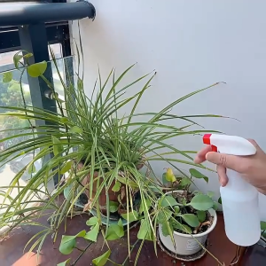 650ML(ด้วยเส้นสเกล)ขวดสเปรย์เปล่า ขวดพ่นสเปรย์ละอองละเอียด ดอกไม้สเปรย์ขวด ขวดสเปรย์แอลกอฮอล์ Moisture Atomizer