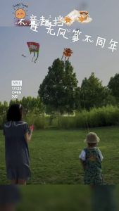 Kite Cartoon Childrens Kite Toy Breeze Easy-to-fly Kite Triangle Kite Childrens Outdoor Toy Spiderman Ultraman Frozen /layang-layang kanak-kanak