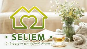 Seliem Spring Bee Gnome Daisy Placemats Set of 4 Honey Black White Buffalo Check Plaid Dining Table Place Mats Summer Seasonal Farmhouse Kitchen Decor Home Decoration 12 x 18 Inch