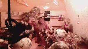 TEMAN TERNAK - Mesin Tetas Telur Semi Otomatis SAM D16 AT Kapasitas 16 | Alat Penetas