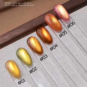 ZH 12ML 6Pcs Caramel Brown Cat Eye Gel Nail Polish 2025 New Whitening Golden Light Glass Beads Cat Eye Nail Art Christmas Nails