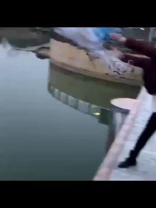 🐟จัดส่งทันที🐟แหฝรั่ง แหจับปลา ใช้ง่ายแข็งแรง แหจับปลา 5-13ศอก มีแผ่นหมุนสีน้ำเงิน ใช้ง่ายแข็งแรง อุปกรณ์จับปลา แหหว่านปลา แหจานบินฝรั่ง แหเอ็น แหดักปลา แห่จับปลาฝรั่ง แหทอดปลา แห จับปลาได้เยอะ ใช้งานง่าย แหจีน แหหว่าน แหอัตโนมัติ แหจานบิน