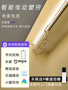 Fifth Generation Electric Curtains Eco-Friendly Automatic Whole House Smart Voice Control LED Atmosphere Light Track by LuShi