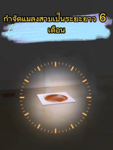 ฆ่าแมลงสาบ100% ยาฆ่าแมลงสาบ ติดเชื้อตาย กำจัดแมลงสาบ กับดักแมลงสาบ ปลอดภัยต่อคนและสัตว์เลี้ยง เหยื่อแมลงสาบ ยากำจัดแมลงสาบ ฆ่าให้ตายทั้งรัง ไล่แมลงสาบ กันน้ำ กันความชื้น วางราบได้ ติดบนผนังได้ ที่ดักแมลงสาบ เจลกำจัดแมง เจลกำจัดแมลงสาบ