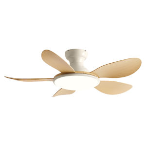 QIANQI | Variable Speed Smart Ceiling Fan Light