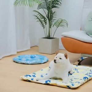 No Water Needed Ice Cooling Gel Pad