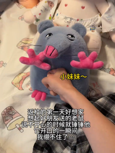 Đồ Chơi Búp Bê Chuột Pizza Rat Ghi Âm Dễ Thương Quà Tặng Bàn Tay Đỏ Đồ Chơi Vải PP Cotton Cho Trẻ Em Từ 3 Tuổi Trở Lên Đồ Chơi Động Vật Không Giới Hạn Giới Tính