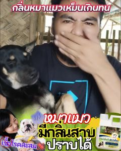 𝗠𝗢𝗡𝗧𝗬 น้ำยาดับกลิ่น แชมพูดับกลิ่นตัวแรงสุนัขแมว กลิ่นสาบ ขนาด 1 ลิตร พร้อมบำรุงขนนุ่ม ขนหอมนาน แชมพูสุนัขแมว กลิ่นซากุระ สูตรออแกร์นิค สำหรับสัตว์ที่มีผิวแพ้ง่าย