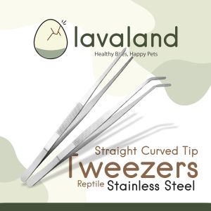 Lavaland - 20cm / 30cm Straight Curved Tip Tweezers - Stainless Steel - Feeding Pets - Reptile Feeding Tongs