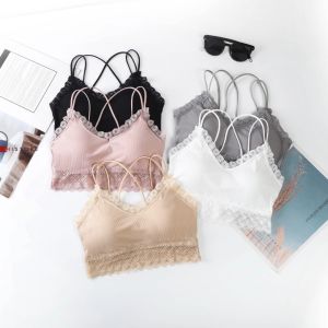 Bra Push Up Premium Wanita Bahan Ice Silk Cup AB ( Cup A-B ) Ukuran 40-65 kg  B08