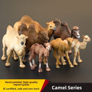 Solid Camel Model Toy Desert Ship Animal Simulation Childrens Plaything Cognitive Gift Decoration Toy Doll Static Animal Model