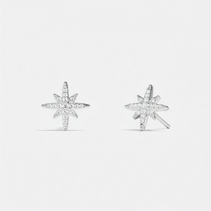 Meteorite Minimalist Refined Hexagram Earrings