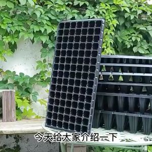 10/20 PCS Pot Bibit /  Seedling Pot / Pot Tray Semai Bibit Benih 21/32/50/72/105/128/200 Holes