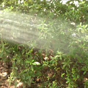 [100% Original] Magic Expanding Hose 25/50/75/100ft Flexible high Pressure Spray Gun Water gardening with solid brass hose filliting fits almost all tap water head for car wash motorcycle wash dog baths misting garden garage laundry hose