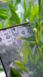 Điện thoại Motorola Edge 50 Fusion 5G  256GB-512GB Zin đẹp tuyển -Màn không ám  Tặng Sạc Nhanh