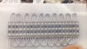 Lampu LED Modul Samsung Lensa Doff 6313 DC 12V 3 Mata 1.5W SMD 2835/5630 (NEON BOX)