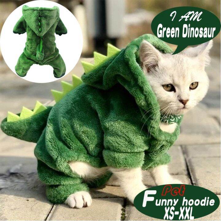 Boy store cat clothes