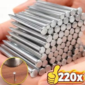 25/50mm Stainless Steel Nail Round Head Tack Woodworking Round Nail Cement Wood Nails Heavy Duty Fastener Pushpin Home Hardware
