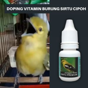 Doping Penggacor Vitamin Burung Sirtu Cipoh Premium Biar Gacor Ngeroll Durasi Panjang