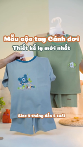 Bộ cộc tay cánh dơi asbaby chất liệu poly lạnh co giãn 4 chiều cho bé trai bé gái