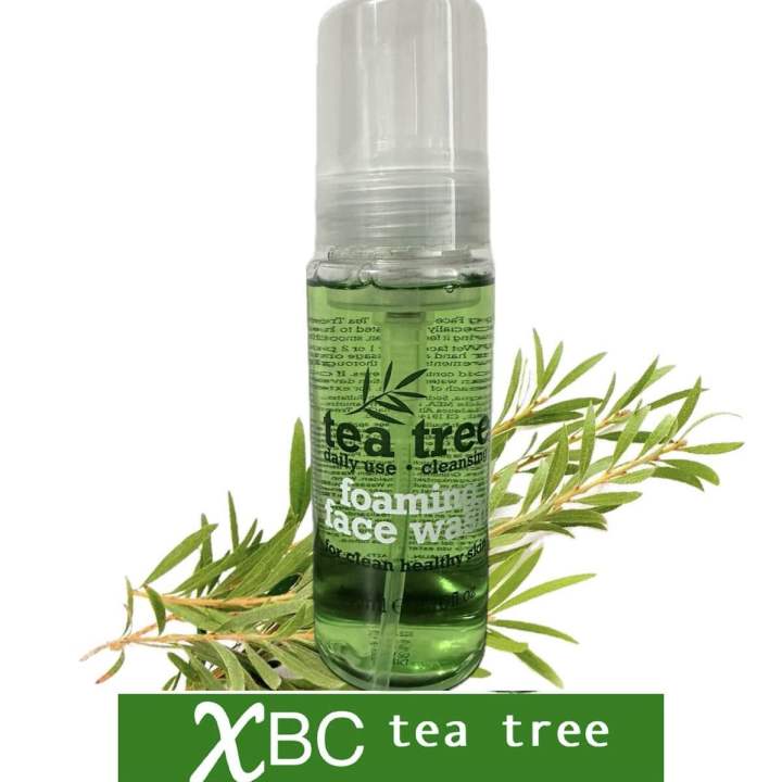 Xbc Tea Tree Foaming Facial Wash 200ml Lazada Ph