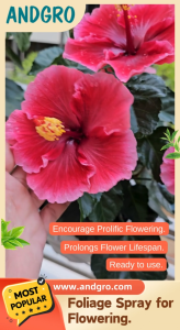 ANDGRO Foliar Spray for Flowering
