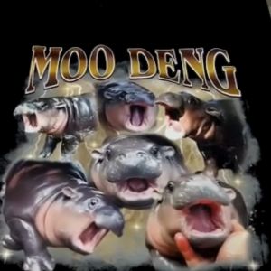 เสื้อยืด หมูเด้ง Bootleg สีน้ำตาล (Cotton 100%)