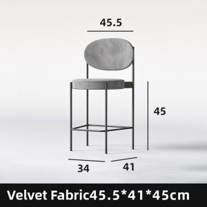 Modern Minimalist Bar Stool with Backrest