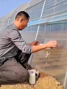 Băng Keo Sửa Chữa Màng Nhà Kính 10/20M Băng Bảo Vệ Vườn Cây Ăn Trái Trong Vườn Nông Nghiệp Trong Suốt Dành Cho Làm Vườn