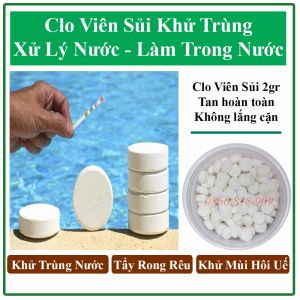 Hộp 1Kg Viên Clo Sủi Giúp Kháng Khuẩn Xử Lý Nước Tẩy Uế Khử Mùi Hôi WC Toilet