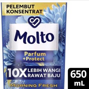 Molto Morning Fresh Parfum + Protect 650 ml