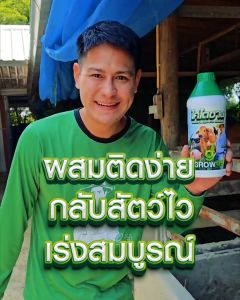 ไคโตซาน โกร์วอัพ 500 CC อาหารเสริมสำหรับ  วัวควายไก่หมูแพะ