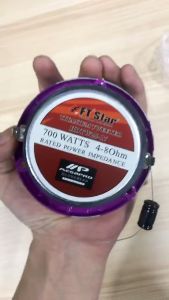 Megapro 700w HDTW25-17 tweeter with Capacitor