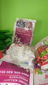 Pupuk MKP HX DGW kemasan 1kg