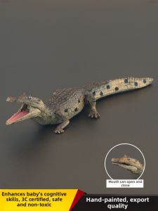 MENGSILE | Solid Realistic Educational Animal Model