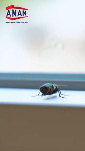 Original SELL Fly Hygienic Adhesive Glue Trap(Pelekat lalat/Kuat Gam Lalat/Flies Trap/Fly Lure Pest Control