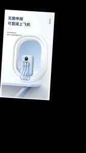 SG 2025 Certified 22.5W Power Bank 10000mAh/20000mAh Super Fast Charging Powerbank Comes With 4 Wires Mini Travel Powerbank