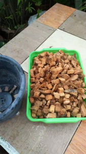 สุดคุ้ม มะพร้าวสับอย่างดี แบบแบ่งขายชิ้นพอดีรองก้นกระถางปลูก ผสมดินปลูก 200กรัม