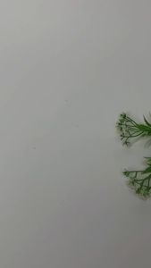 Kartu Ucapan Ulang Tahun Wedding Custom Souvenir Pernikahan Kado Wisuda Graduation