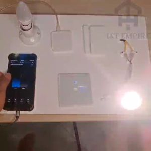 I&T EMPIRE_ Tuya ZigBee Smart Switch No Capacitor Needed & No Neutral Wire 1/2/3 gang Smart Switch Works with Google Alexa  Home