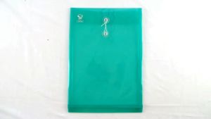 Eagle Files Map Plastik Transparan Tali Punggung Data Bag Vertikal Horizontal Folder Dokumen File F4 Folio Isi 6 Pcs