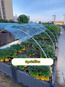 โรงเรือนปลูกพืช คันไฟเบอร์กลาส แพ็คละ 20ชิ้น โรงเรือน เพาะปลูก หลักไม้เลื้อย ไม้ค้ำต้นไม้ ค้างผัก ค้างต้นไม้