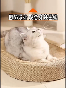 Hemp Rope Cat Scratching Board Durable Cat Bed Cartoon Cat Scratch Board Suitable for All Cats