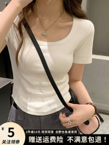 Womens Square Collar Short Sleeve T-Shirt Inner Wear Base Shirt Regular Shoulder Line Summer White under Shirt Curved Hem Top