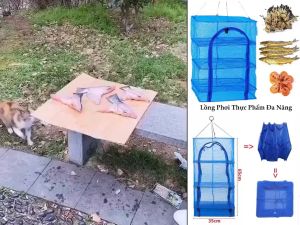 Lồng lưới phơi khô thực phẩmphơi cá chống côn trùng treo 4 tầng có thể xếp gọn đa năng-Giá phơi đồ thu gọn ban công